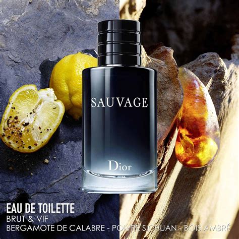 dior sauvage 100 ml eau de toilette heren|dior sauvage for men superdrug.